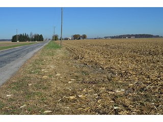Tracts 4 & 5 - FARMLAND AUCTION - 165.5+/- ACRES OFFERED IN 5 TRACTS OR COMBINATIONS IN EAST ALLEN COUNTY
